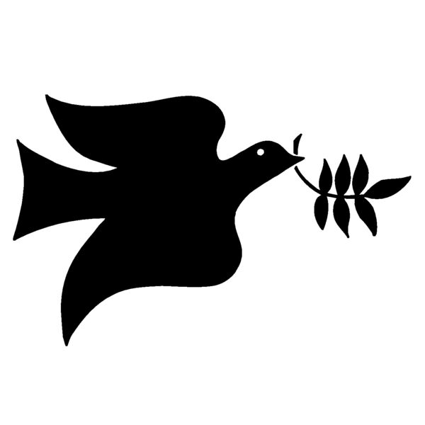 dove Thumbnail