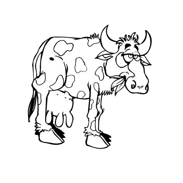 cow5 Thumbnail