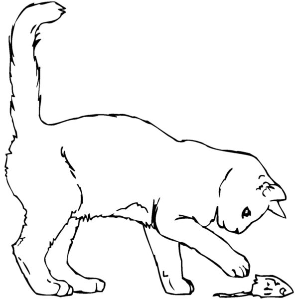 kitty w  Thumbnail