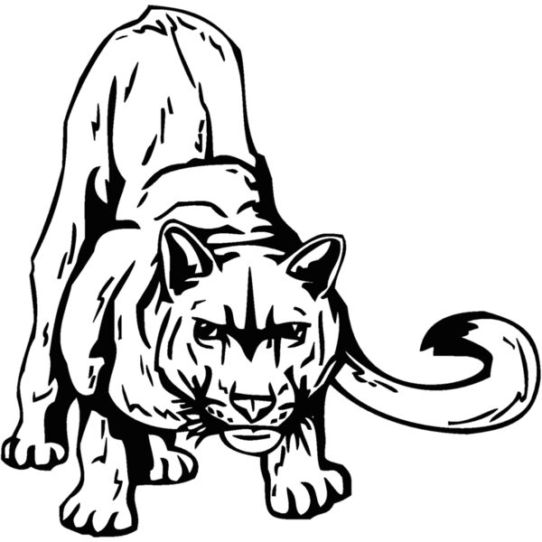 cougar4 Thumbnail