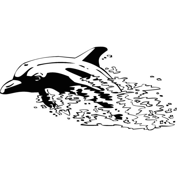 dolphin28 Thumbnail