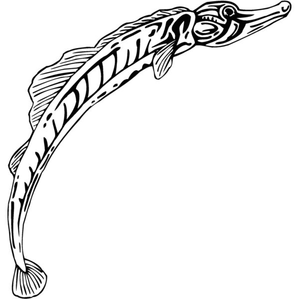 pipefish Thumbnail