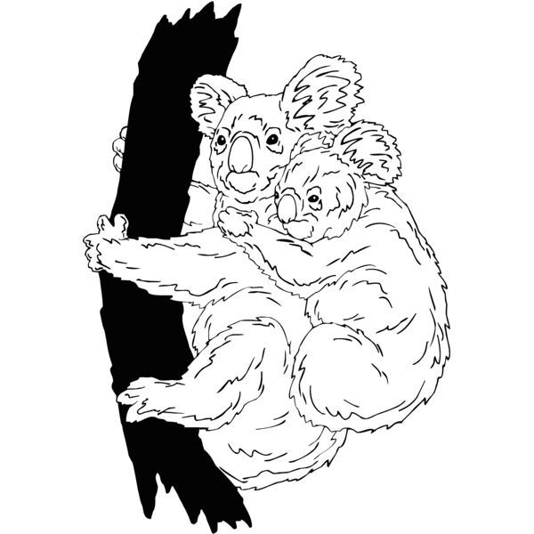 koala2 Thumbnail
