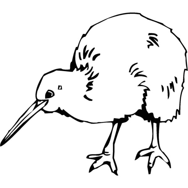 kiwi Thumbnail