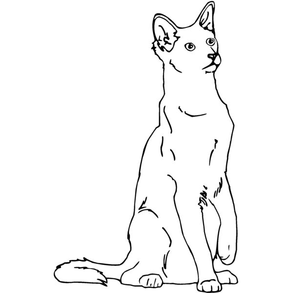 oriental Thumbnail