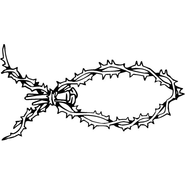 thornfish Thumbnail