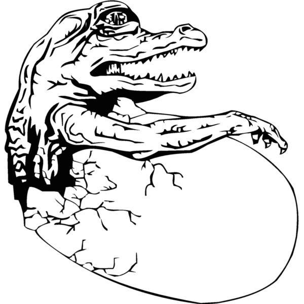 hatchling Thumbnail