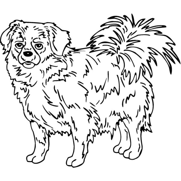 tibetan  Thumbnail