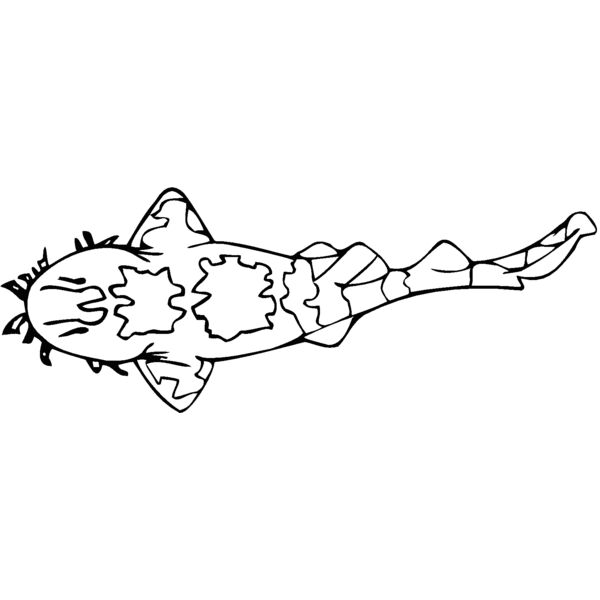 wobbegon Thumbnail