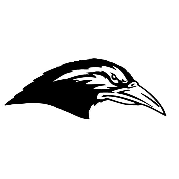 raven Thumbnail