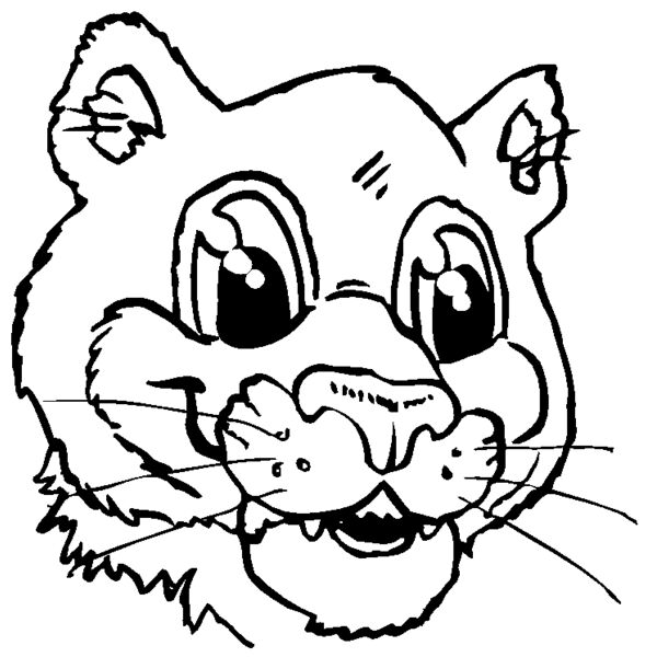 pchd1 Thumbnail