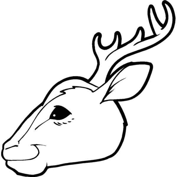 buckhd2 Thumbnail