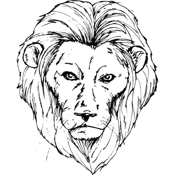lionhd5 Thumbnail