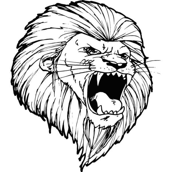 lionhd6 Thumbnail