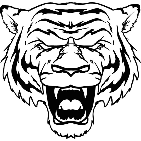 tigerhd19 Thumbnail