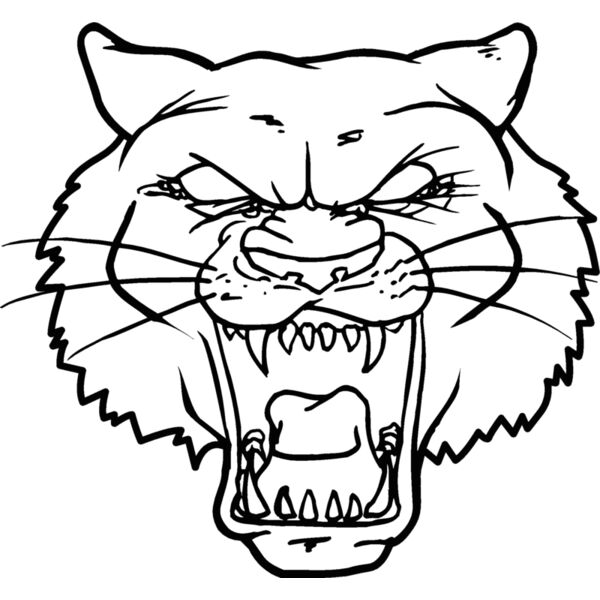 tigerhd25 Thumbnail