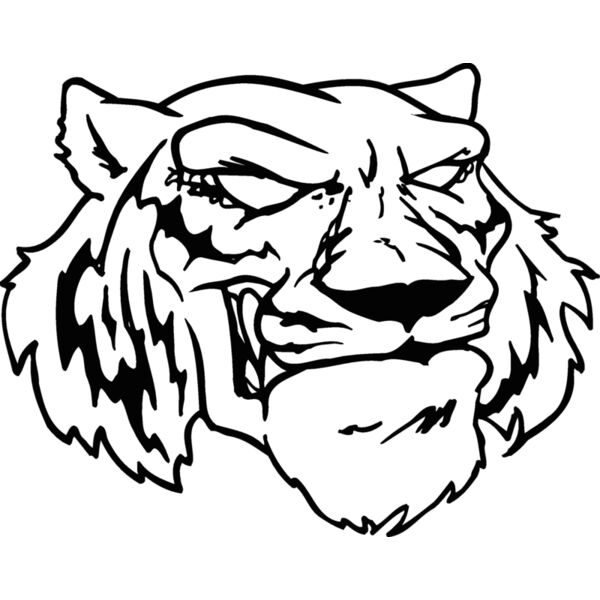 tigerhd24 Thumbnail