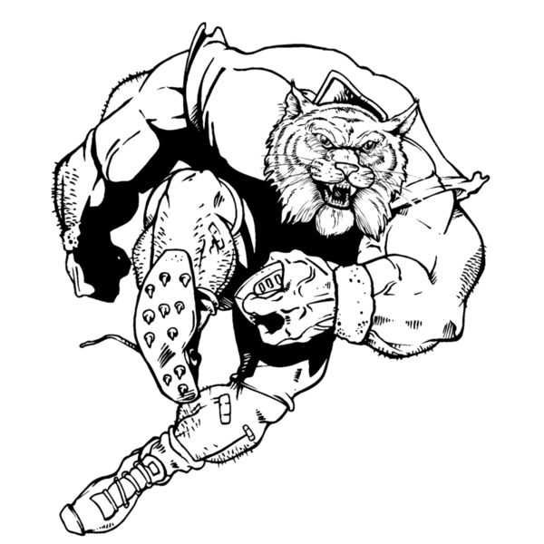 wcfb5 Thumbnail