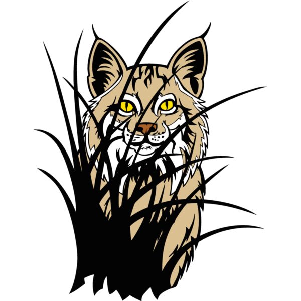 wildcat8 Thumbnail