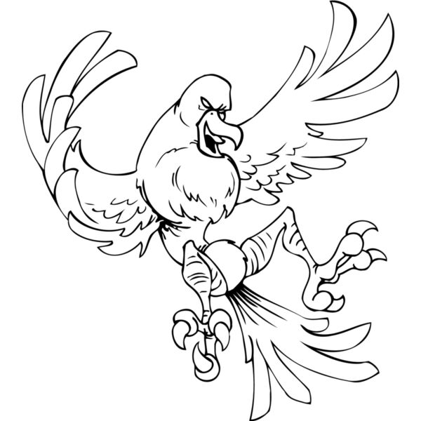 brd Thumbnail