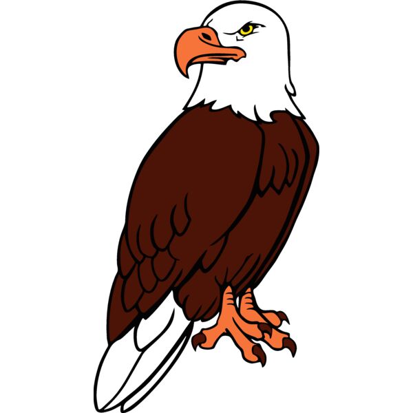 eagle07 Thumbnail