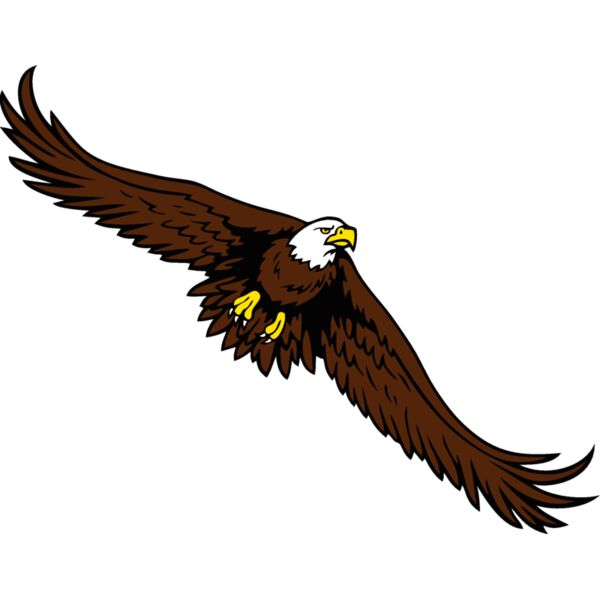 eagle03 Thumbnail