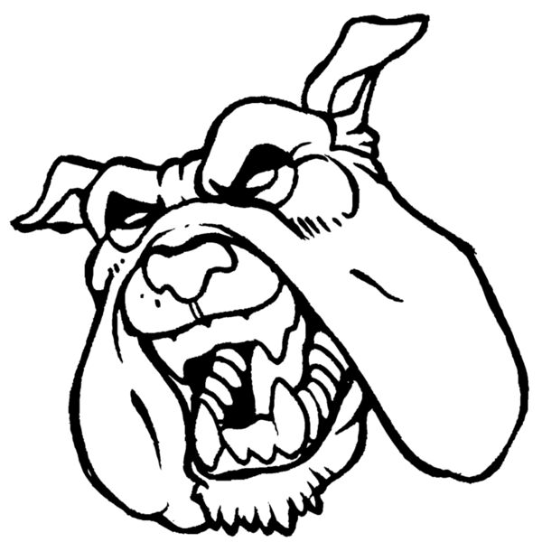 buahd07 Thumbnail