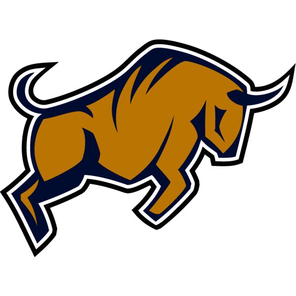 bull6 Thumbnail