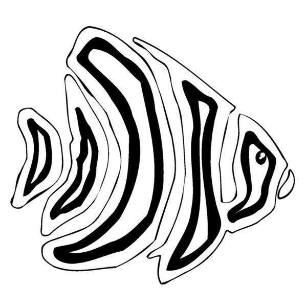 fish1 Thumbnail